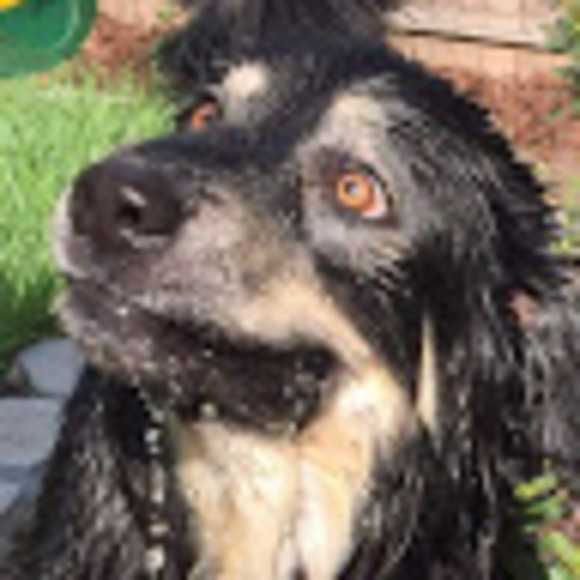 Meet your Posher, Chris - Picture 1 of 1